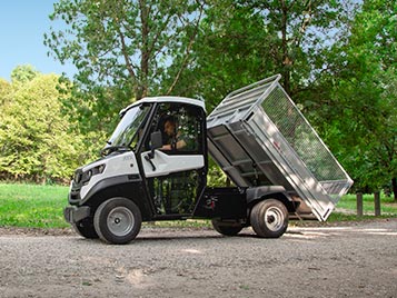 Small electric utility vehicles