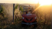 vineyard tractor Alke' ATX