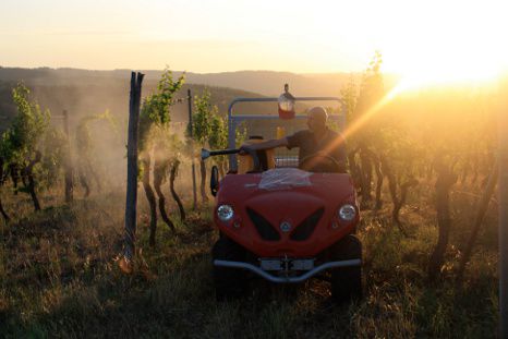 vineyard tractor in Tuscany